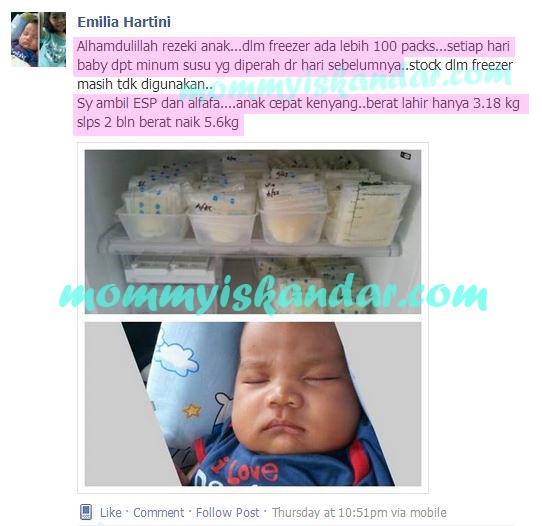 Blog opsi stok terbaik